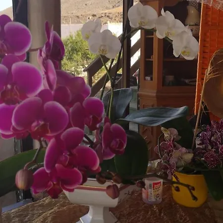 Luxury tent Kikiki Yurta